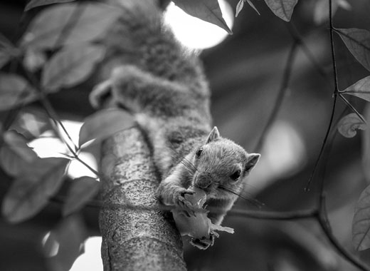 无需激活直接用的ddos网页端源码